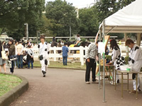 大学の学園祭