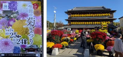 笠間の菊まつり