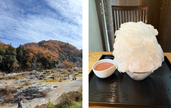 長瀞の紅葉と「阿左美冷蔵」のかき氷